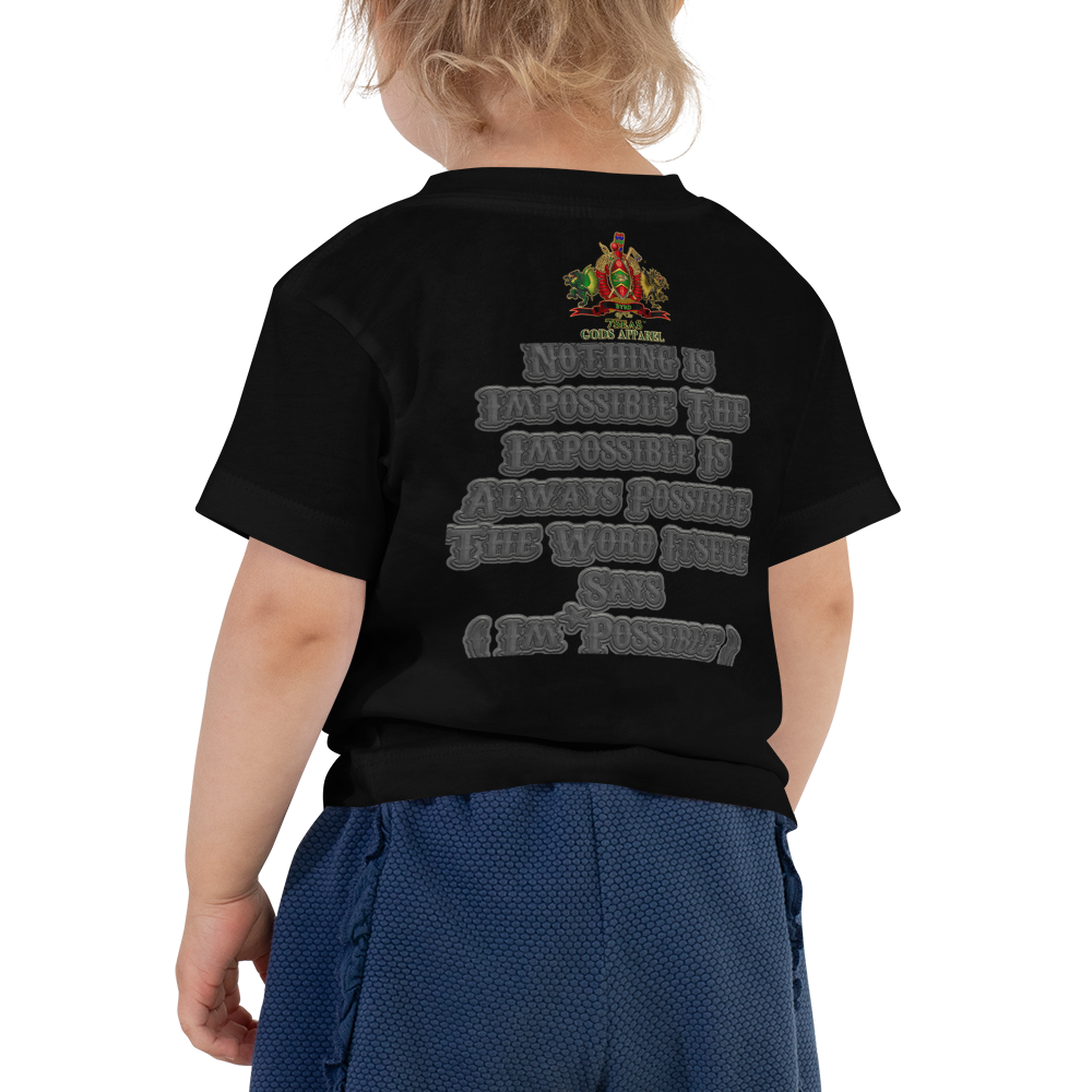 AMUN MIN - Grey - BYRD OF THE 7SEAS GODS APPAREL - Toddler Goddess’s/Girls Short Sleeve Tee