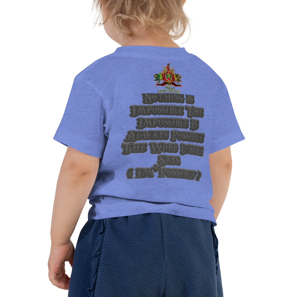 AMUN MIN - Grey - BYRD OF THE 7SEAS GODS APPAREL - Toddler Goddess’s/Girls Short Sleeve Tee