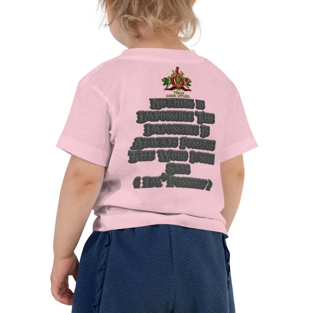 AMUN MIN - Grey - BYRD OF THE 7SEAS GODS APPAREL - Toddler Goddess’s/Girls Short Sleeve Tee